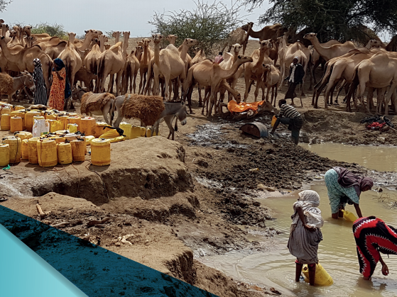 Beyaz Dağ’ı Karartan Tehdit: Kuraklık
